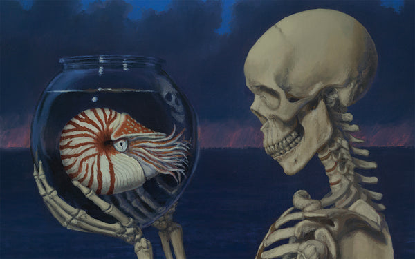 Death and Nautilus
