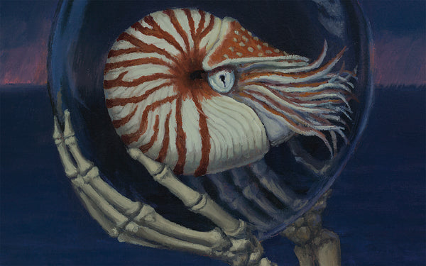 Death and Nautilus
