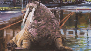 Walrus