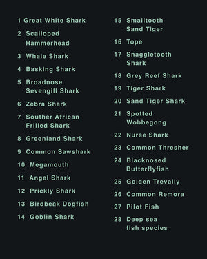 Sharks of the World
