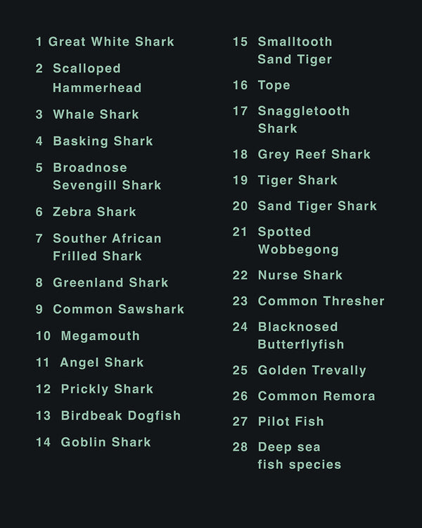 Sharks of the World