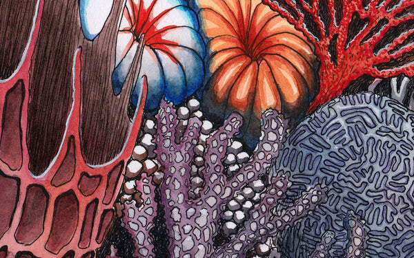 Ocean Acidification