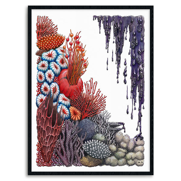 Ocean Acidification