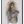 Load image into Gallery viewer, Sagrada Vaquita
