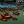 The Exodus of Turtleton - Earth Day Variant