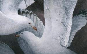 Miranda and Caliban