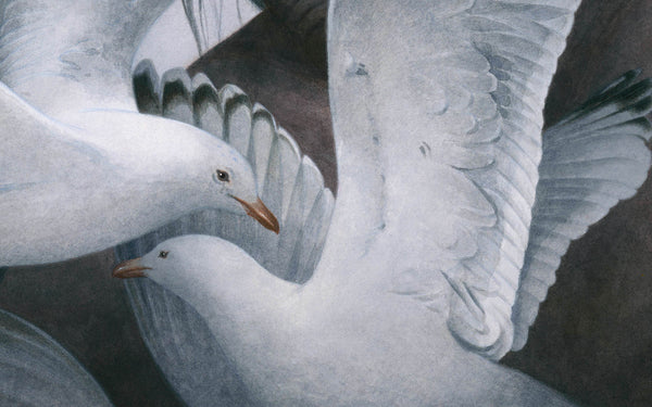 Miranda and Caliban