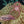 Deep Sea