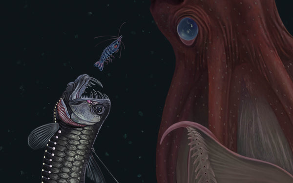 Deep Sea
