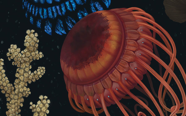 Deep Sea