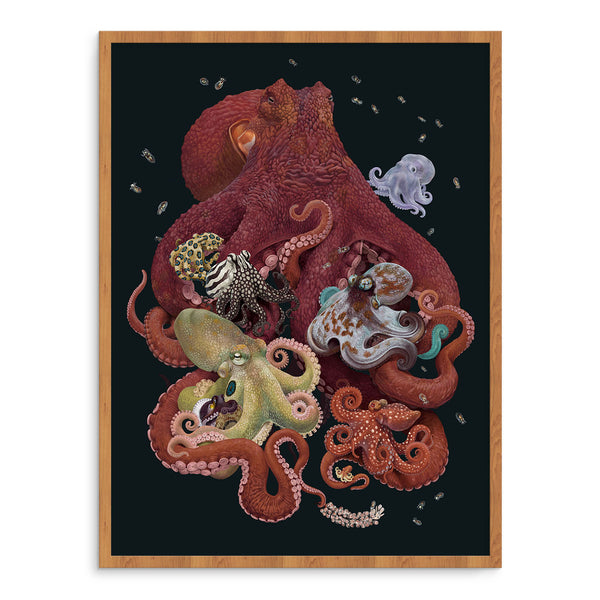 Octopodes