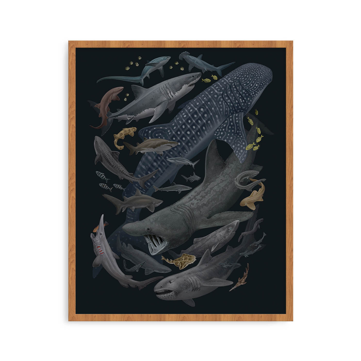 Fine Art Print Editions – Tagged 