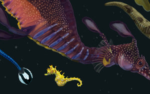 Syngnathidae