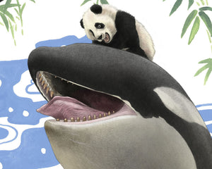Captives: Orcas'n'Pandas