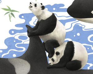 Captives: Orcas'n'Pandas