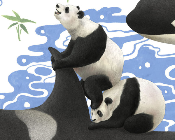 Captives: Orcas'n'Pandas