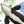 Captives: Orcas'n'Pandas